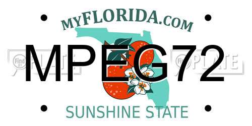 MPEG72 Florida License Plate