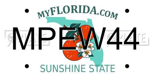 MPEW44 Florida License Plate