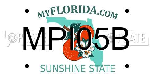 MPI05B Florida License Plate