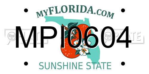 MPI0604 Florida License Plate