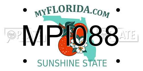 MPI088 Florida License Plate