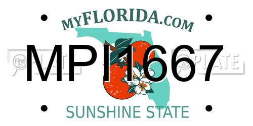MPI1667 Florida License Plate