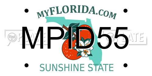 MPID55 Florida License Plate