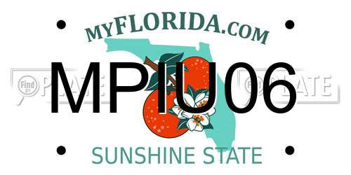 MPIU06 Florida License Plate