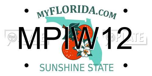 MPIW12 Florida License Plate