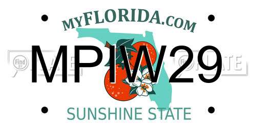 MPIW29 Florida License Plate