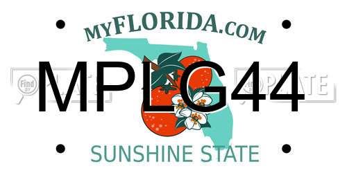 MPLG44 Florida License Plate