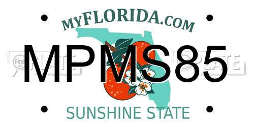 MPMS85 Florida License Plate