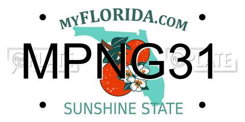 MPNG31 Florida License Plate
