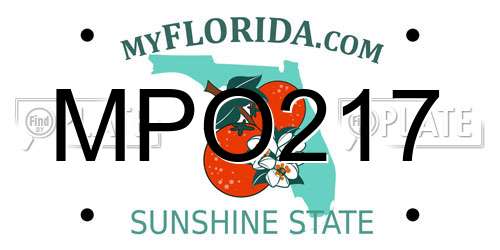 MPO217 Florida License Plate