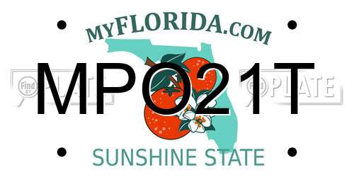 MPO21T Florida License Plate