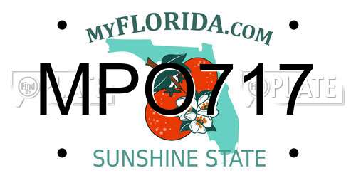 MPO717 Florida License Plate