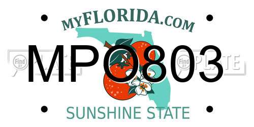 MPO803 Florida License Plate