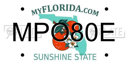 MPO80E Florida License Plate