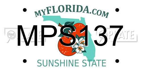 MPS137 Florida License Plate