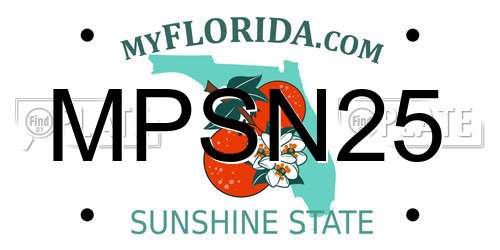 MPSN25 Florida License Plate
