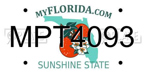 MPT4093 Florida License Plate