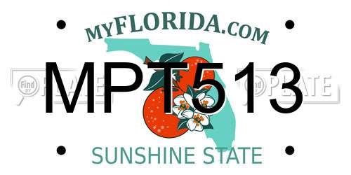 MPT513 Florida License Plate