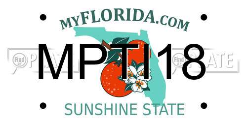 MPTI18 Florida License Plate