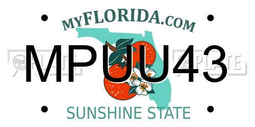 MPUU43 Florida License Plate