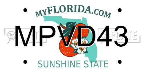 MPVD43 Florida License Plate