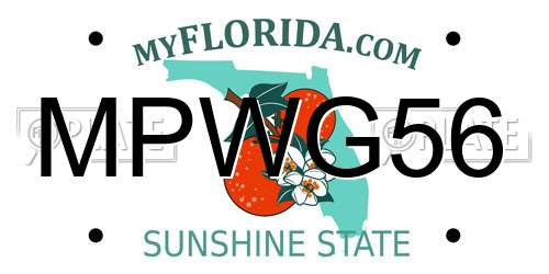 MPWG56 Florida License Plate