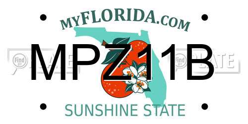 MPZ11B Florida License Plate