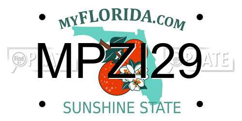 MPZI29 Florida License Plate