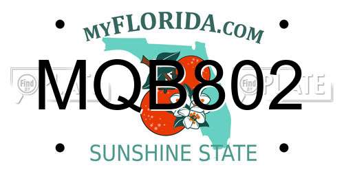 MQB802 Florida License Plate