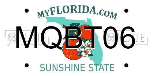 MQBT06 Florida License Plate