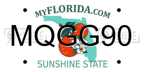 MQGG90 Florida License Plate