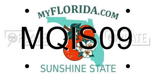 MQIS09 Florida License Plate