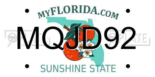 MQJD92 Florida License Plate