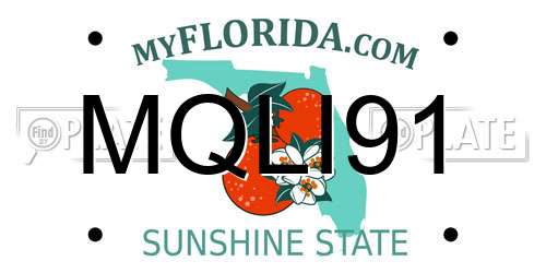 MQLI91 Florida License Plate