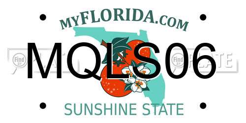 MQLS06 Florida License Plate