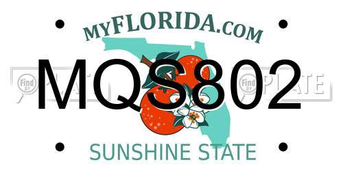 MQS802 Florida License Plate