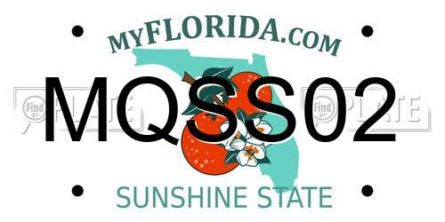 MQSS02 Florida License Plate