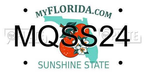 MQSS24 Florida License Plate