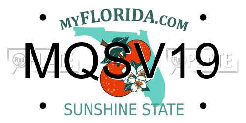 MQSV19 Florida License Plate