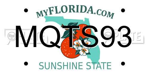 MQTS93 Florida License Plate