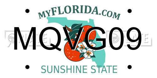 MQVG09 Florida License Plate