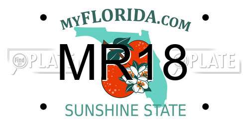 MR18 Florida License Plate