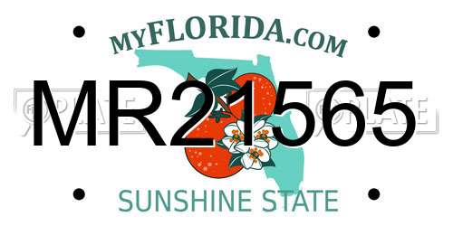 MR21565 Florida License Plate