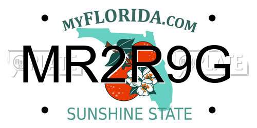 MR2R9G Florida License Plate