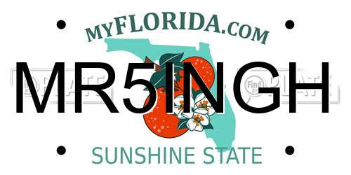 MR5INGH Florida License Plate