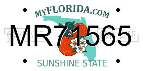 MR71565 Florida License Plate