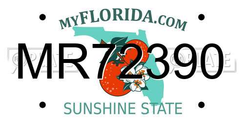 MR72390 Florida License Plate