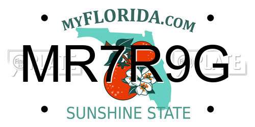 MR7R9G Florida License Plate