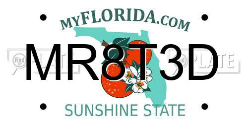 MR8T3D Florida License Plate