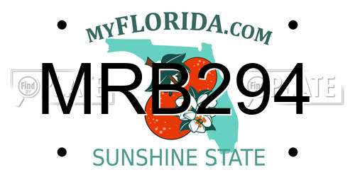 MRB294 Florida License Plate